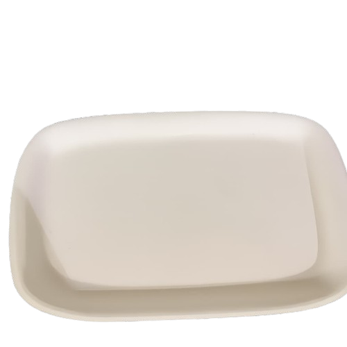 Rectangular Platter